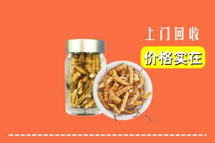 收购资讯:肇庆市怀集回收散虫草