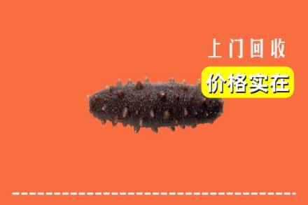 收购资讯:肇庆市怀集回收海参