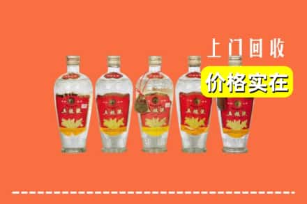 肇庆市怀集回收老五粮液